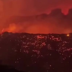 Feux de forêt en Algérie