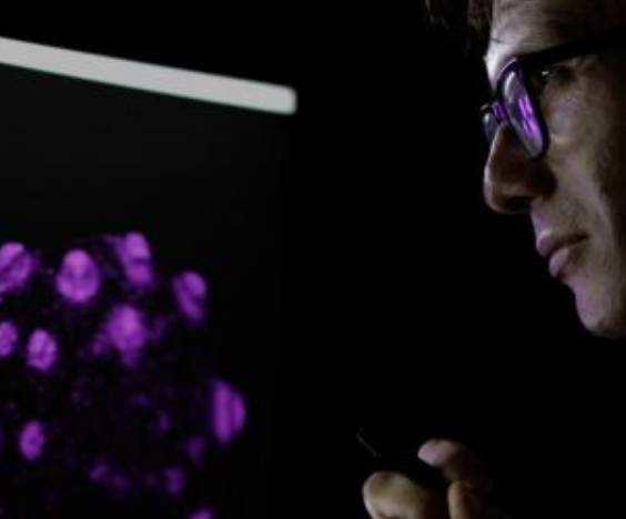Neurones humains chez la souris